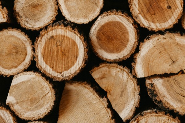 Comment optimiser sa consommation énergétique grâce au bois de